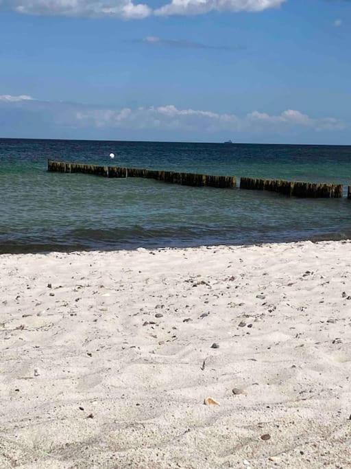 Familienurlaub Mit Hund An Der Ostsee Admannshagen-Bargeshagen Exterior foto